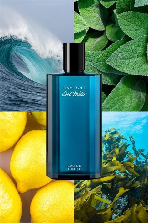 davidoff cool water notes.